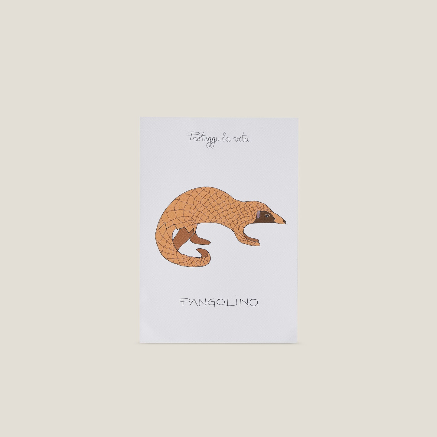 Stampa illustrata a tema natura con l'immagine di un pangolino.