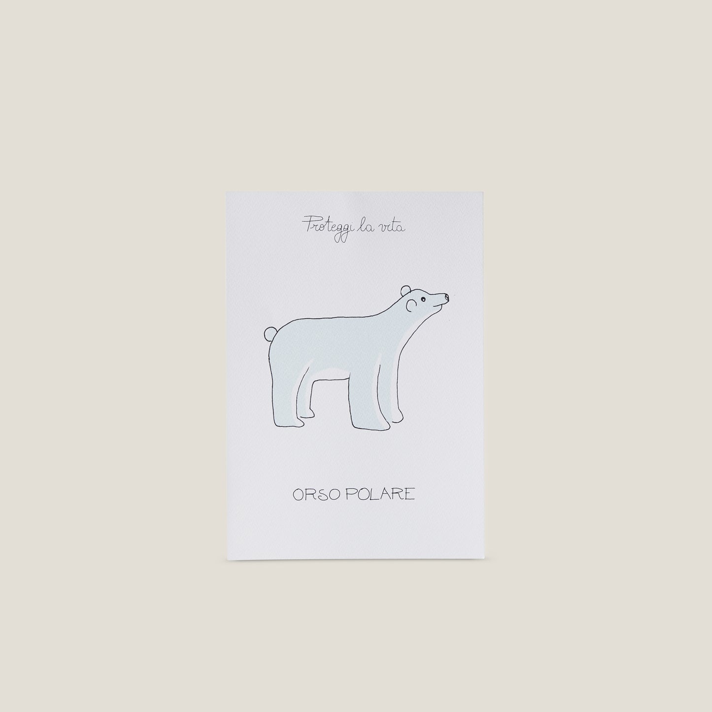 Stampa illustrata a tema natura con l'immagine di un orso polare..