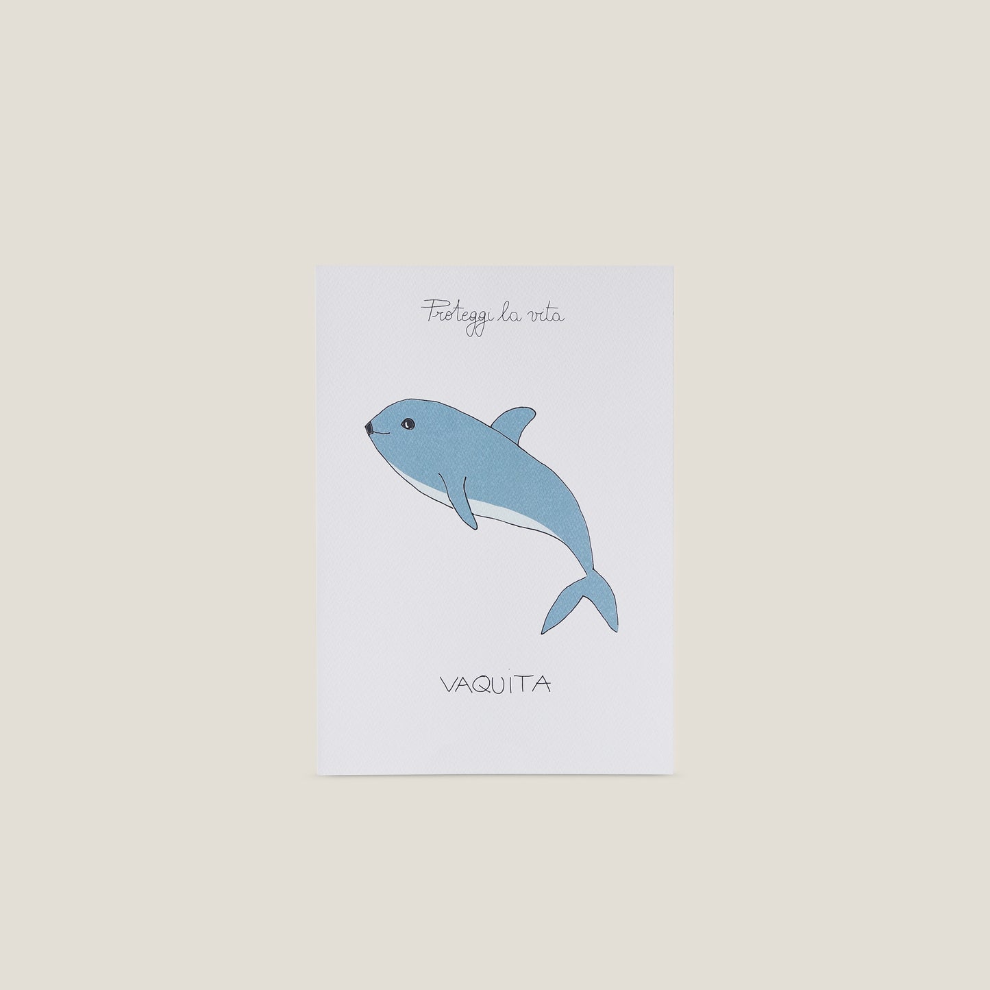 Stampa illustrata a tema natura con l'immagine di un vaquita.