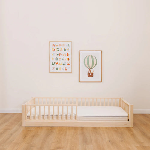 Mitwachsendes Earth Starter-Set