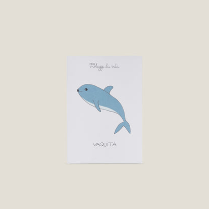 Stampa illustrata a tema natura con l'immagine di un vaquita.
